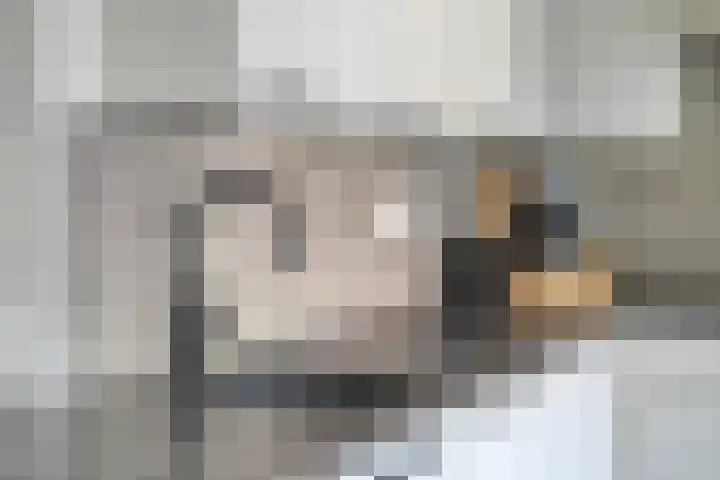 Dassenslag 20 Assen thumbnail 13