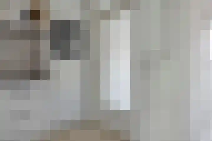 Dassenslag 20 Assen thumbnail 14