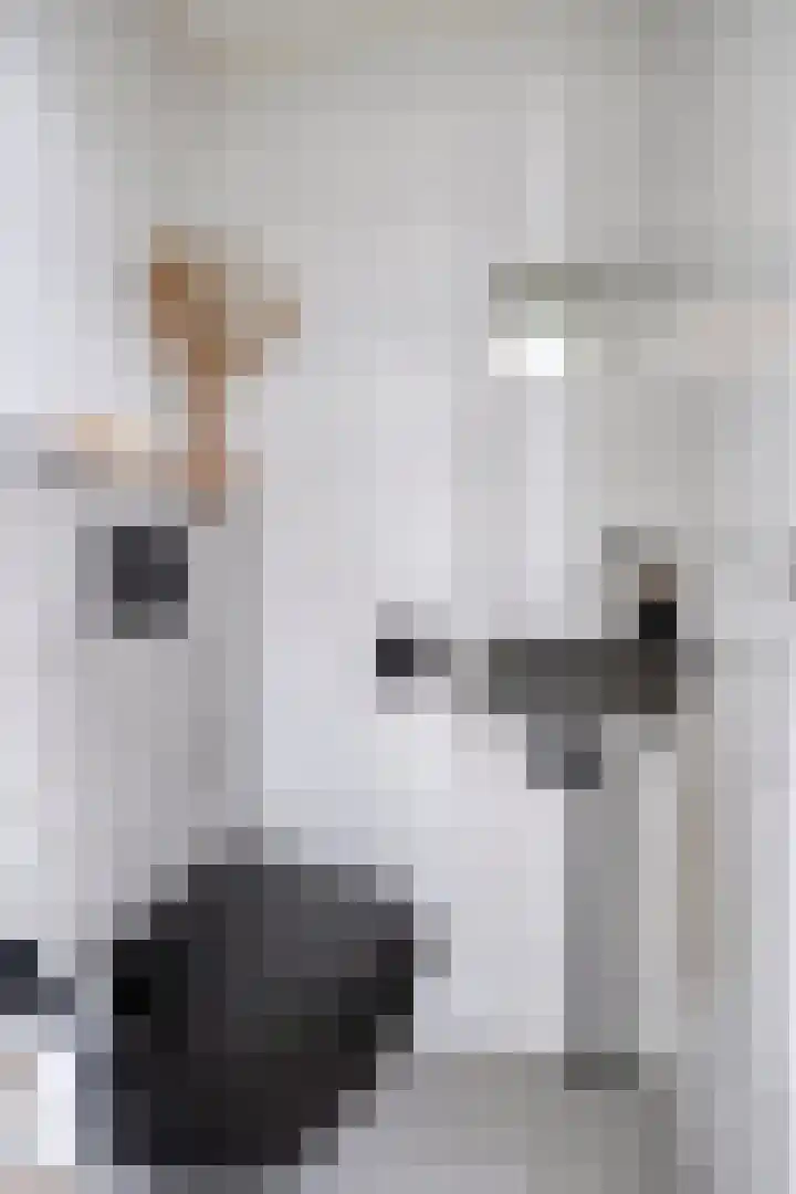 Dassenslag 20 Assen thumbnail 19