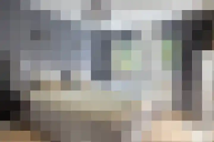 Dassenslag 20 Assen thumbnail 21
