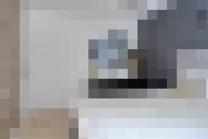 Dassenslag 20 Assen thumbnail 22