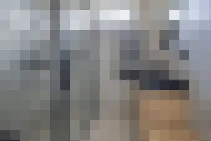 Dassenslag 20 Assen thumbnail 23