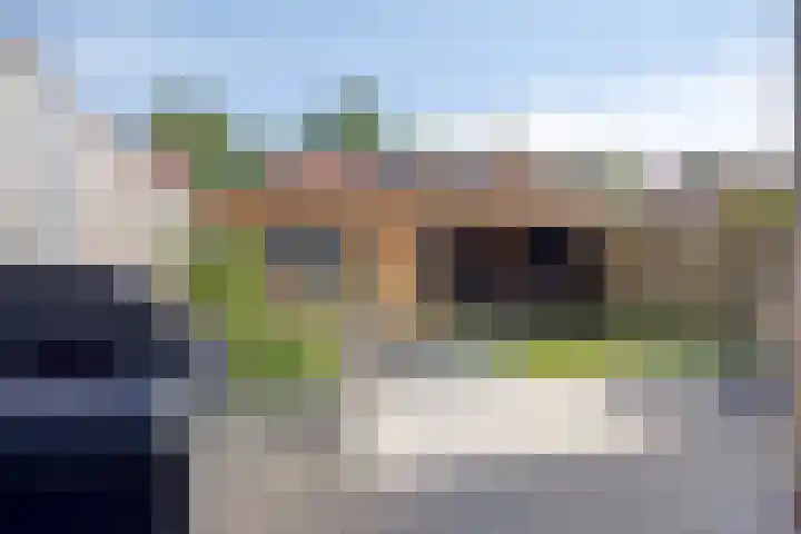 Dassenslag 20 Assen thumbnail 32