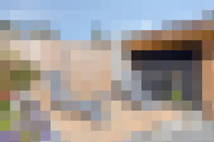 Dassenslag 20 Assen thumbnail 35