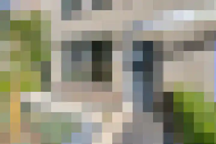 Dassenslag 20 Assen thumbnail 4