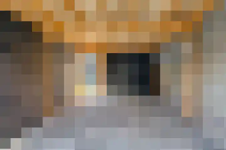 Dassenslag 20 Assen thumbnail 42