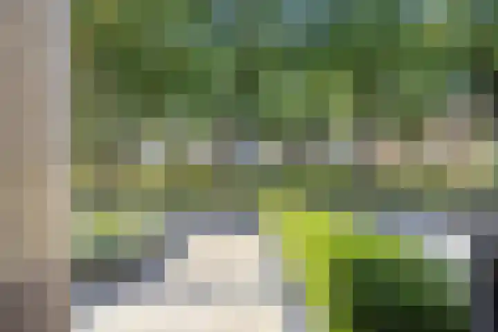 Dassenslag 20 Assen thumbnail 43