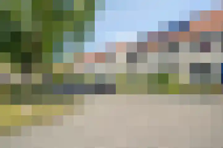 Dassenslag 20 Assen thumbnail 44