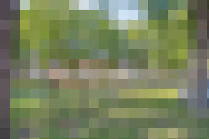 Dassenslag 20 Assen thumbnail 45