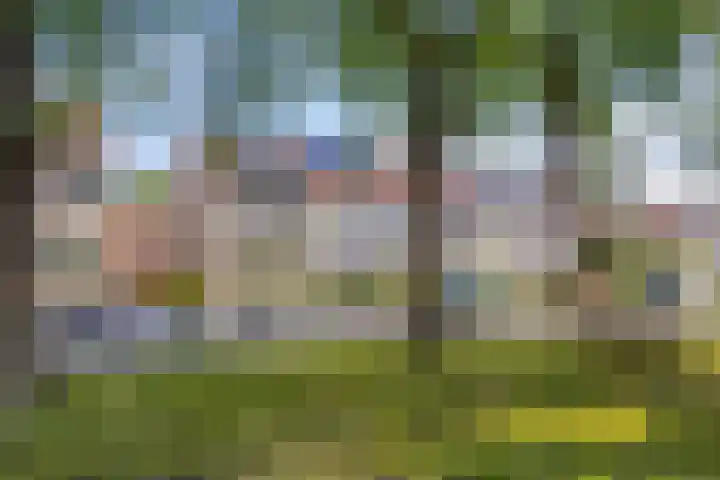 Dassenslag 20 Assen thumbnail 46
