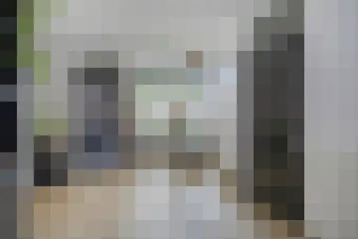 Dassenslag 20 Assen thumbnail 6