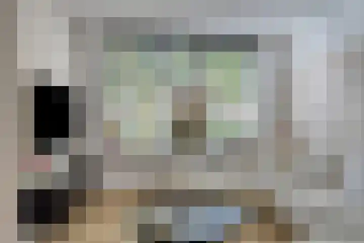 Dassenslag 20 Assen thumbnail 7