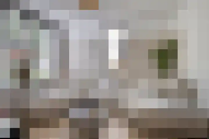 Dassenslag 20 Assen thumbnail 8