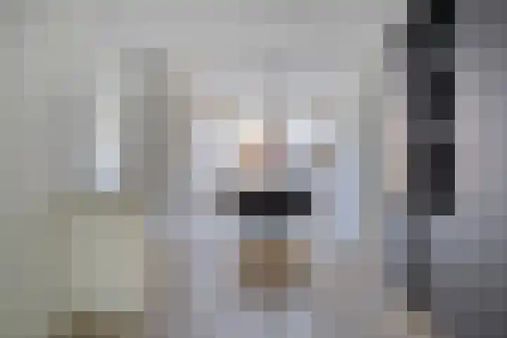 Dassenslag 20 Assen thumbnail 9