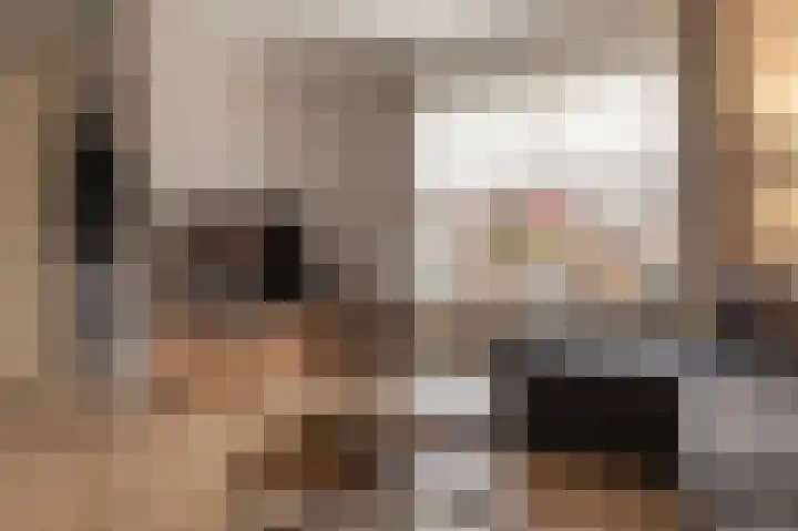 Dassenslag 3 Assen thumbnail 12
