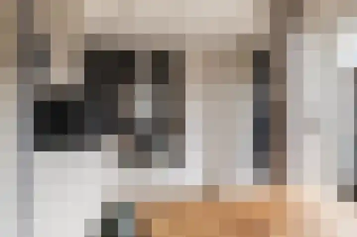 Dassenslag 3 Assen thumbnail 16