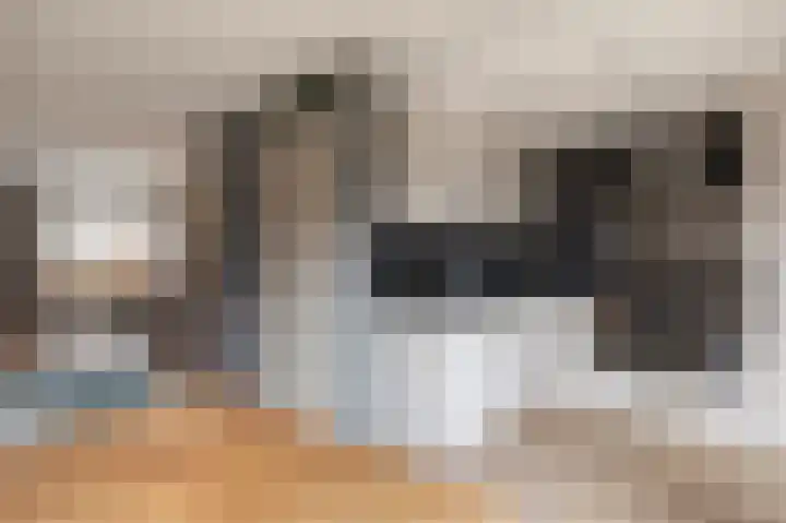 Dassenslag 3 Assen thumbnail 17