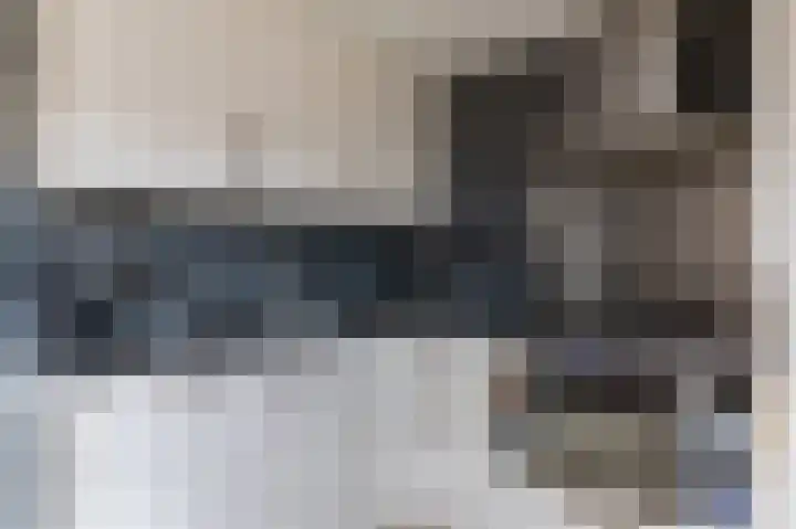 Dassenslag 3 Assen thumbnail 18