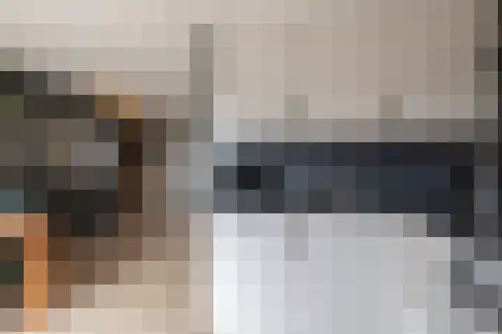 Dassenslag 3 Assen thumbnail 19