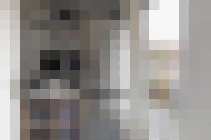 Dassenslag 3 Assen thumbnail 20