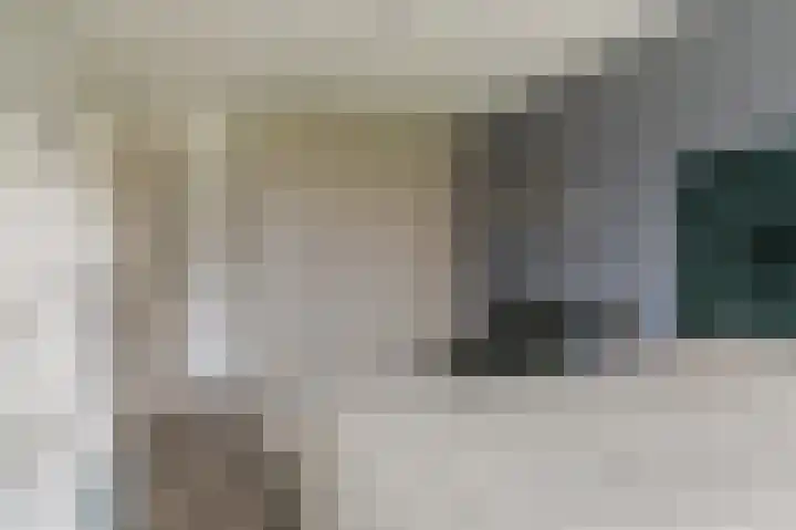 Dassenslag 3 Assen thumbnail 26