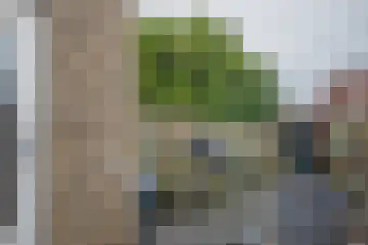 Dassenslag 3 Assen thumbnail 30
