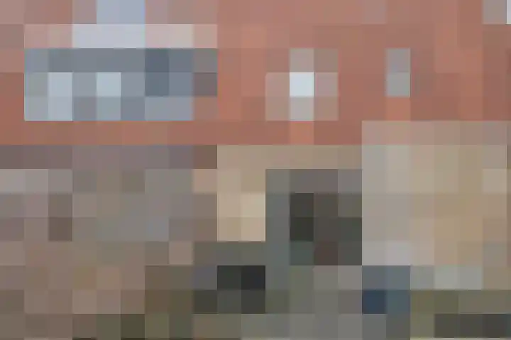Dassenslag 3 Assen thumbnail 33