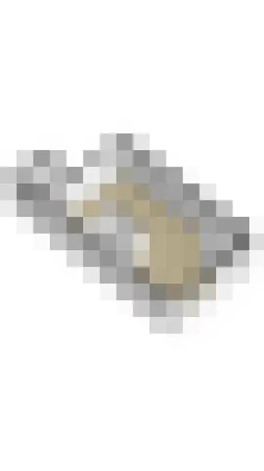 Dassenslag 3 Assen thumbnail 38