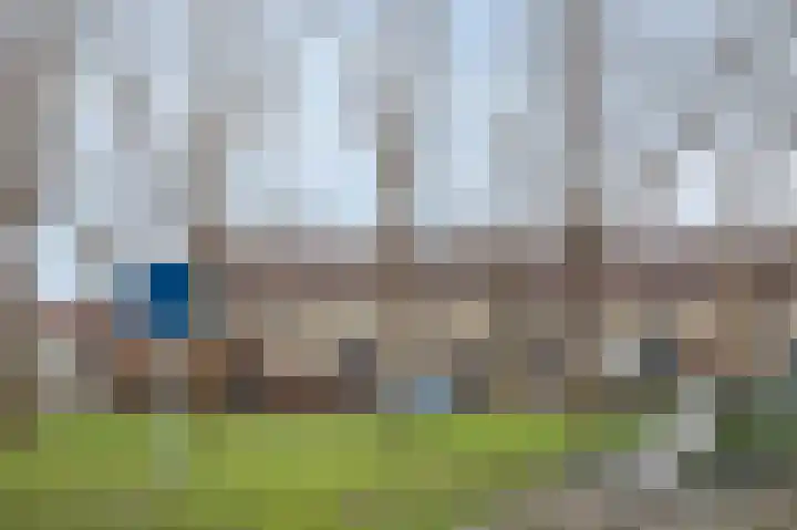 Dassenslag 3 Assen thumbnail 6