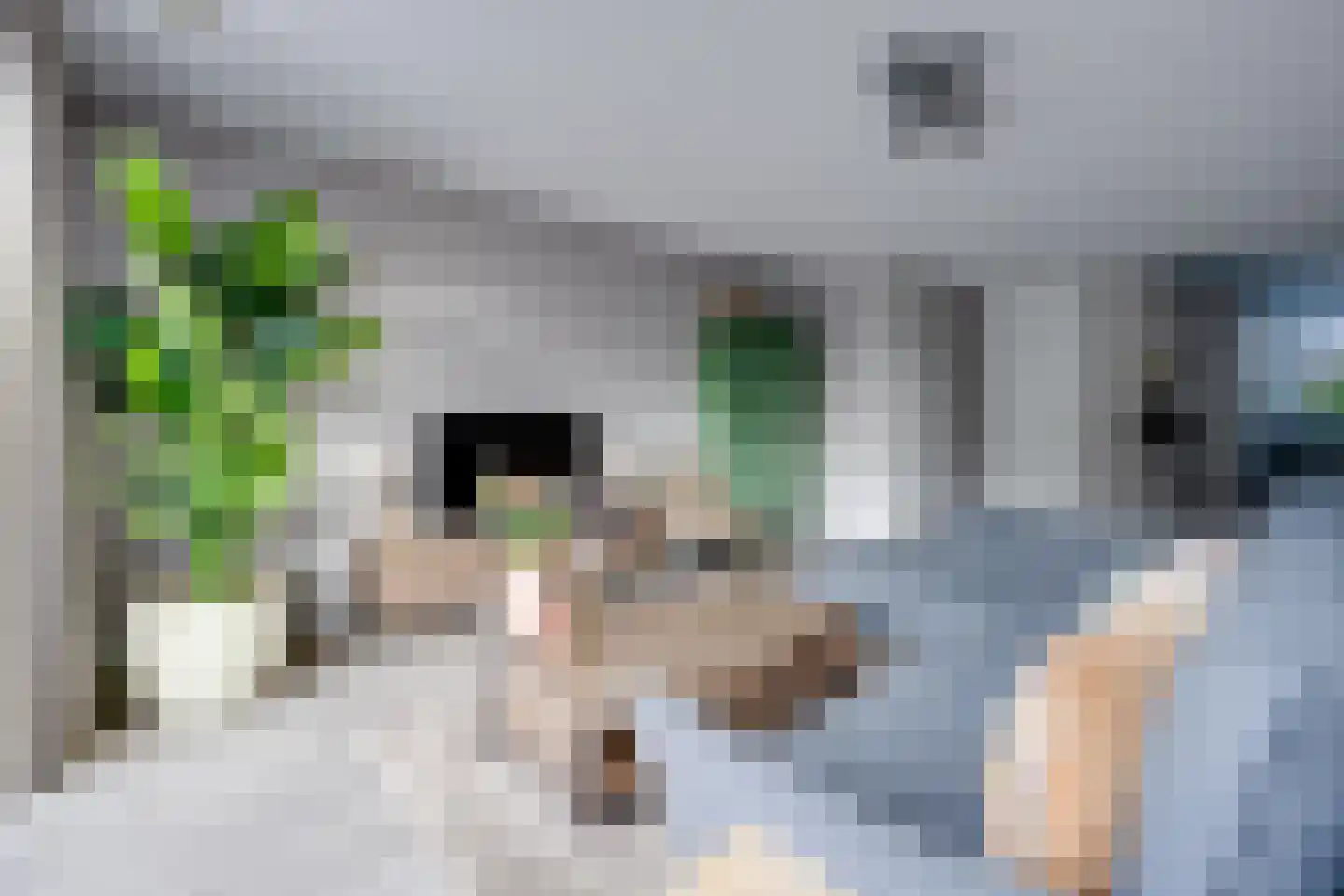 Dassenstraat 19 Rucphen thumbnail 10