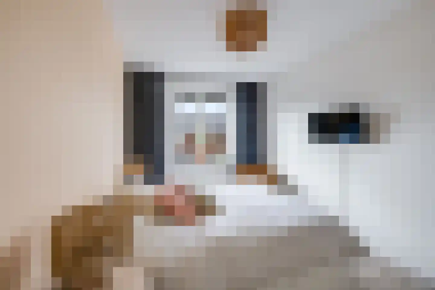 Dassenstraat 19 Rucphen thumbnail 17