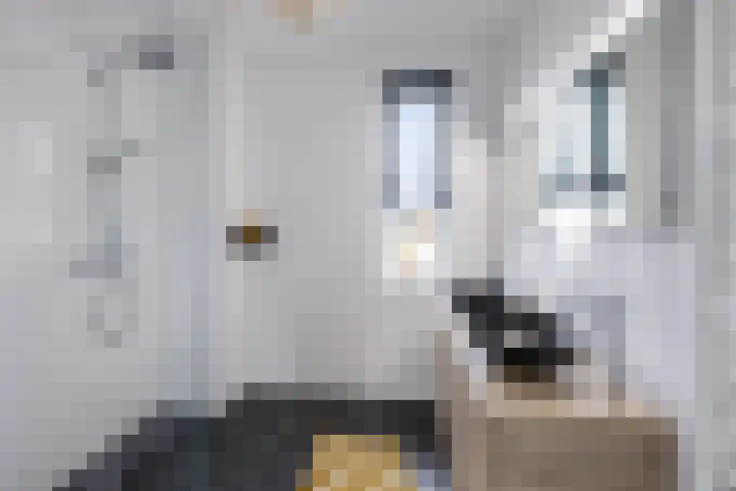 Dassenstraat 19 Rucphen thumbnail 23