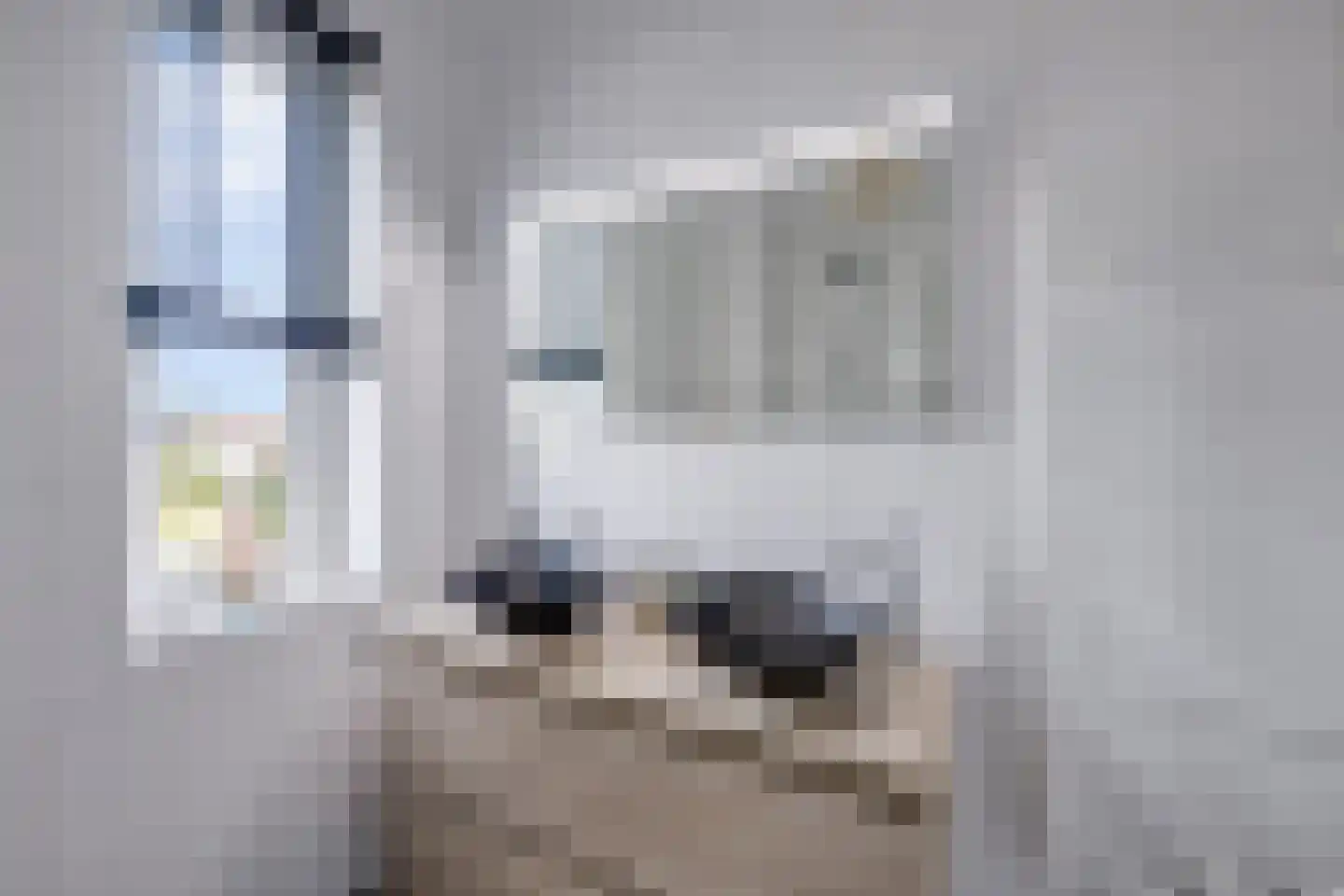 Dassenstraat 19 Rucphen thumbnail 25