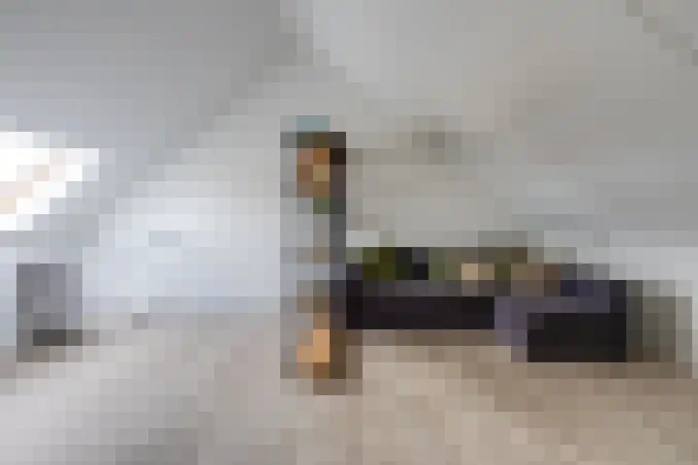 Dassenstraat 19 Rucphen thumbnail 26