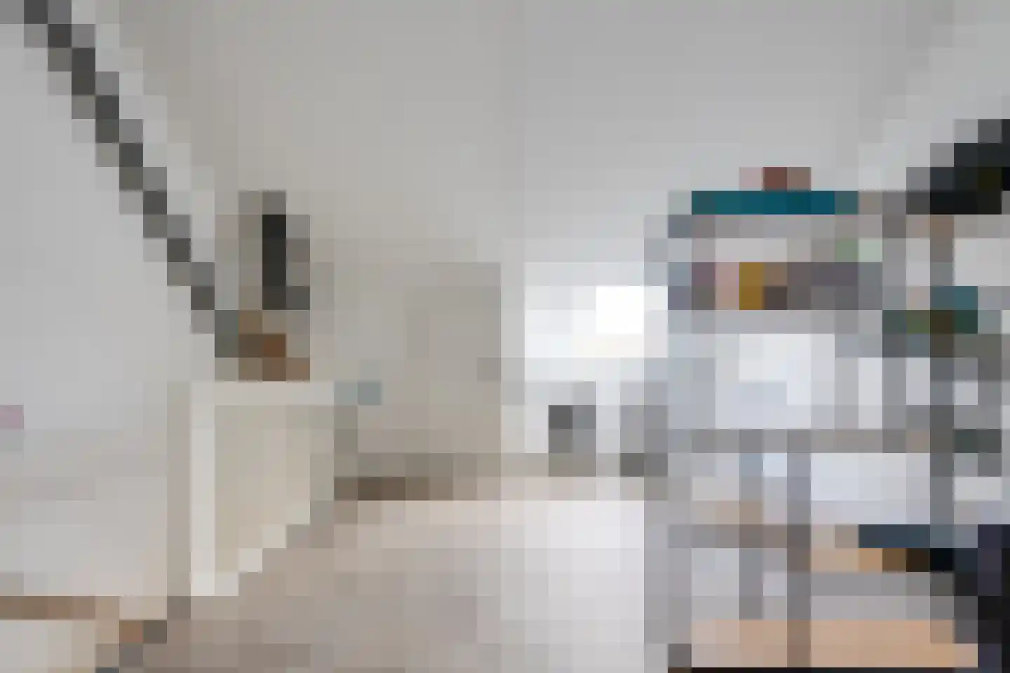 Dassenstraat 19 Rucphen thumbnail 27