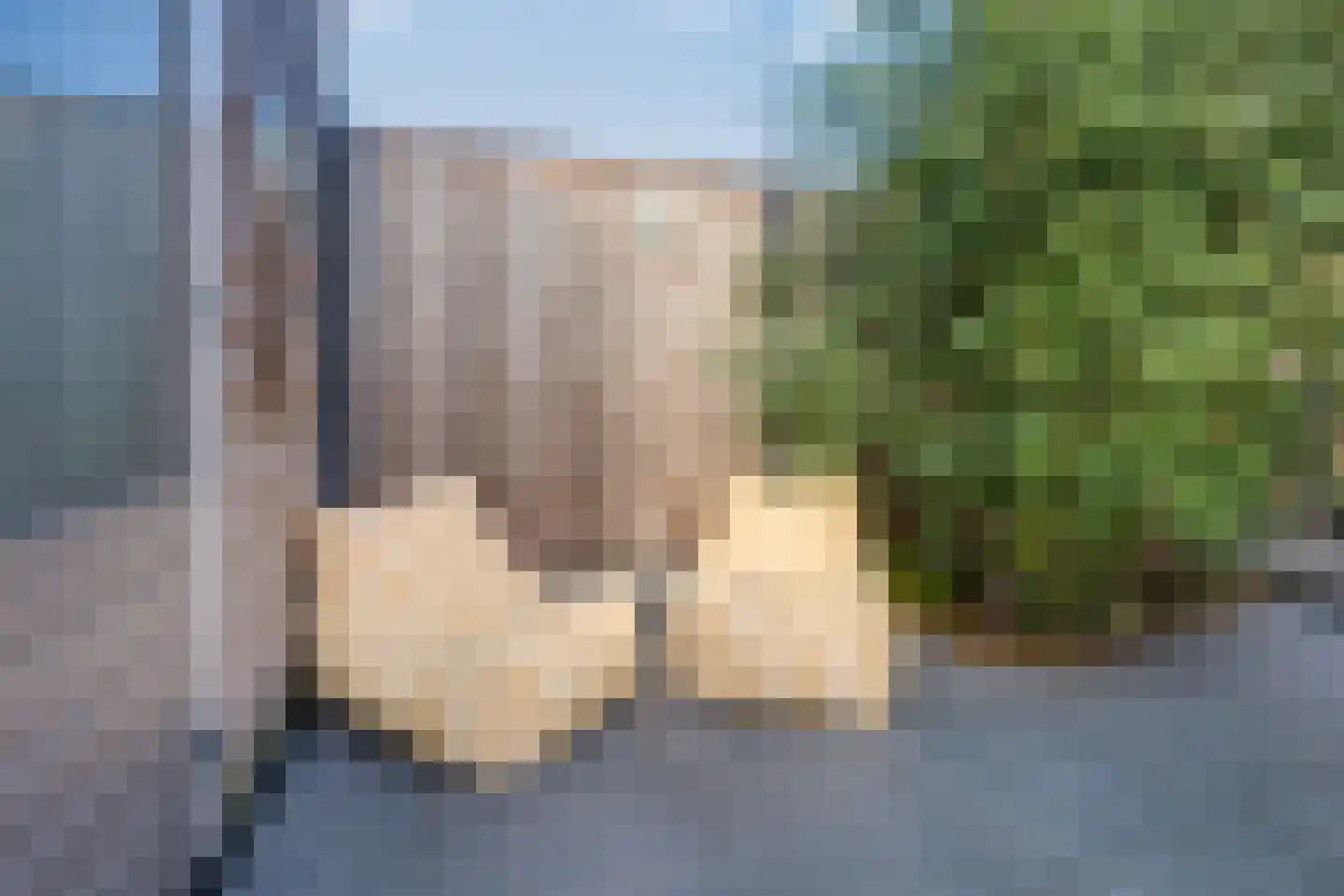 Dassenstraat 19 Rucphen thumbnail 30