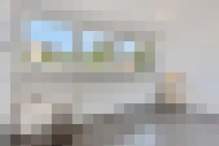 Dassenstraat 8 Maastricht thumbnail 15