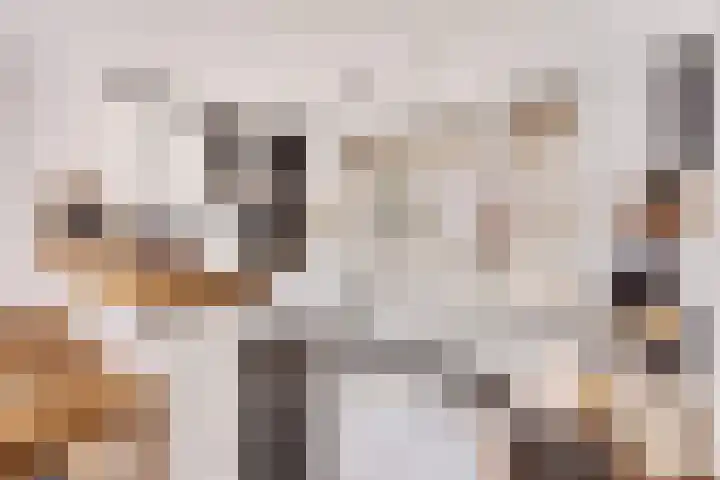 Dassenstraat 8 Maastricht thumbnail 9