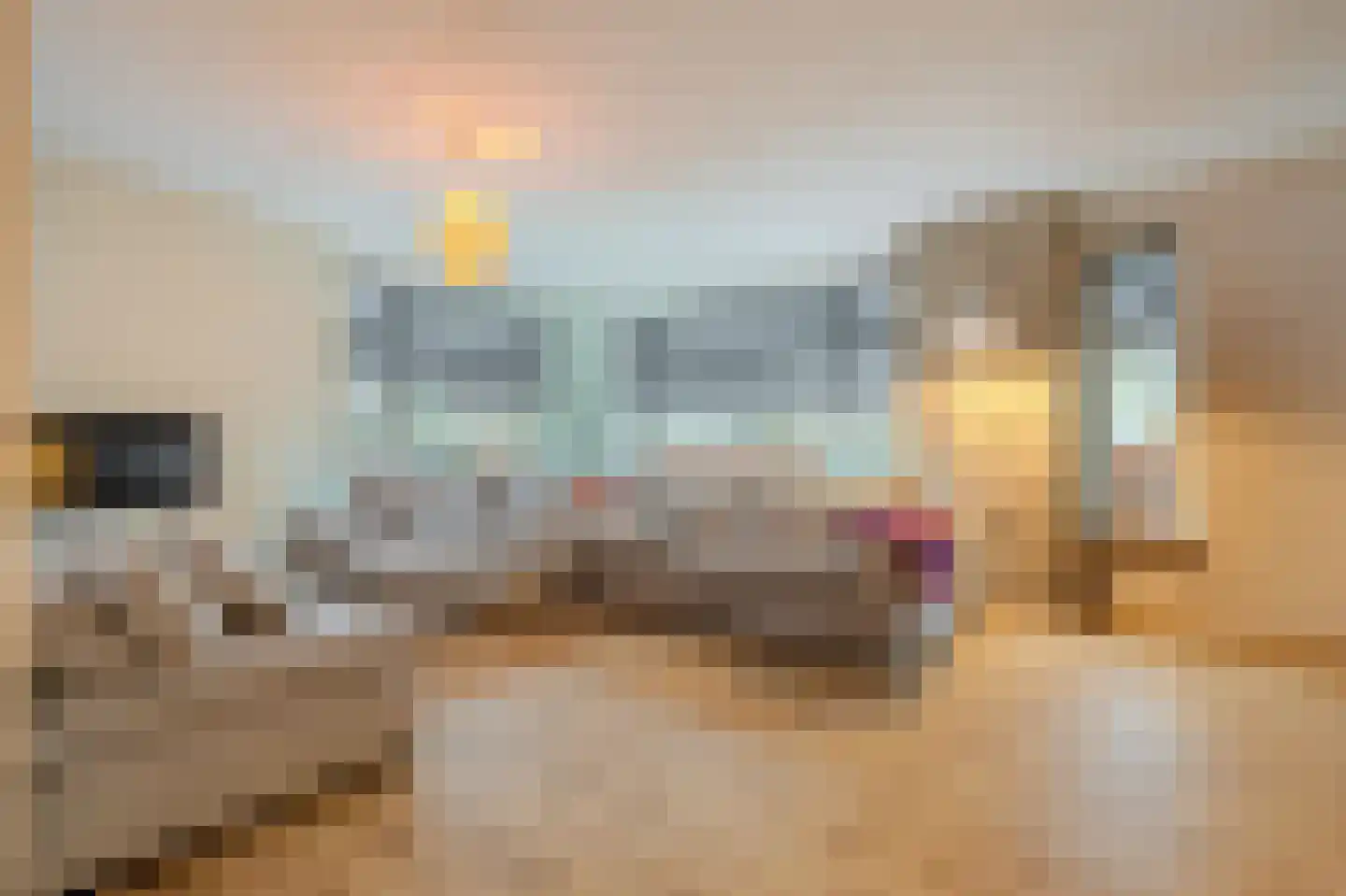 Dassenwissel 16 Winschoten thumbnail 14