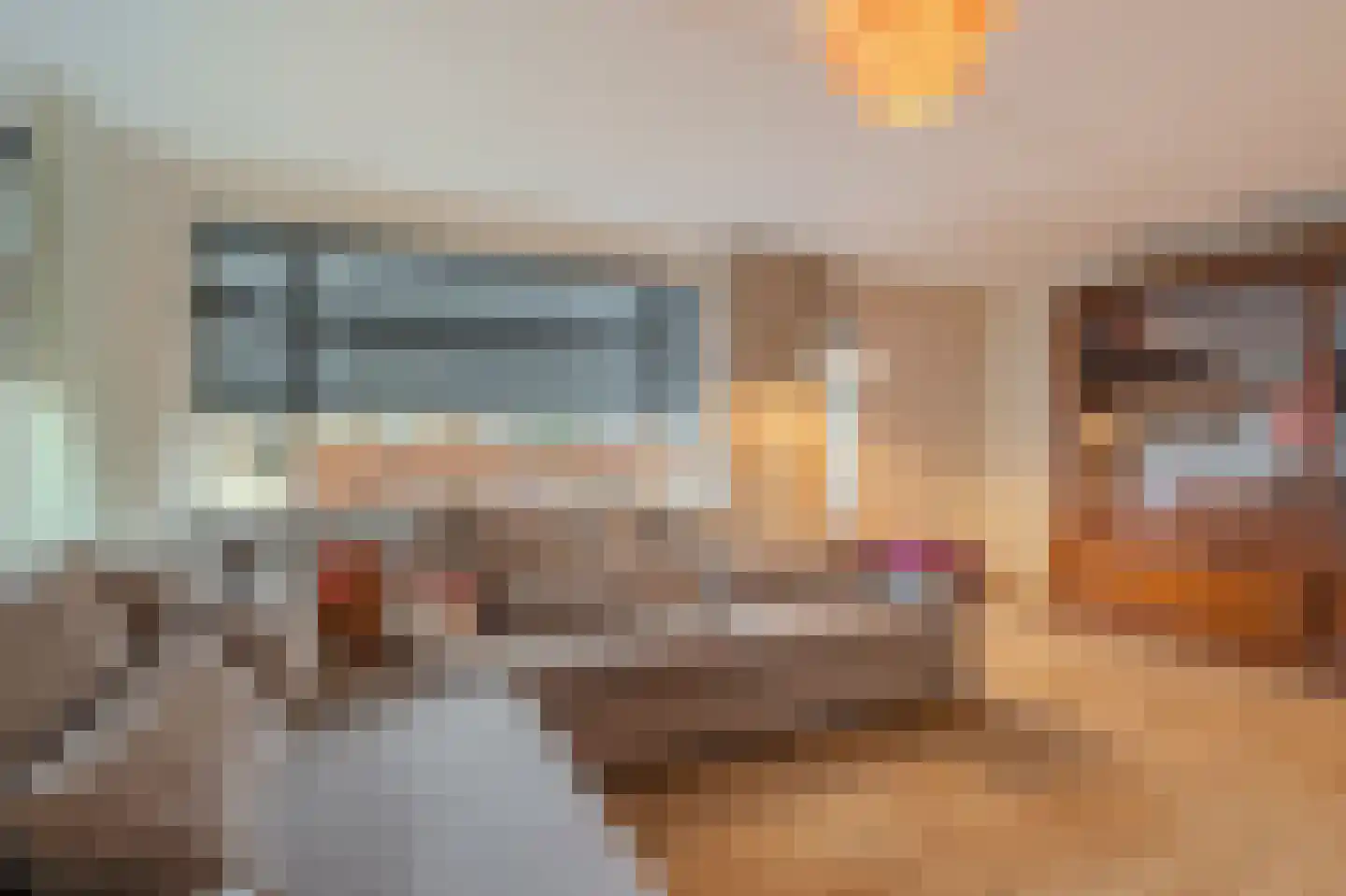 Dassenwissel 16 Winschoten thumbnail 15