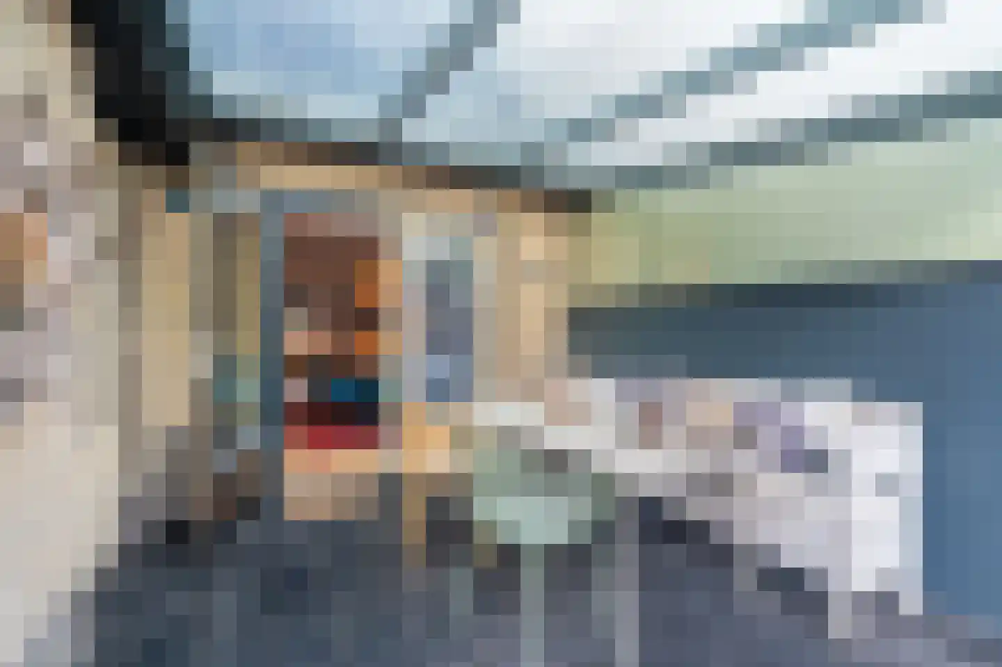Dassenwissel 16 Winschoten thumbnail 49