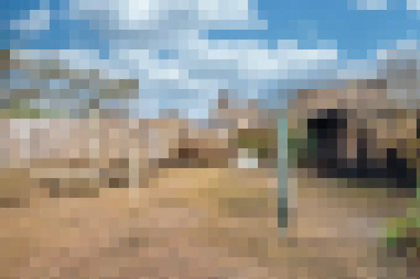 Dassenwissel 16 Winschoten thumbnail 50