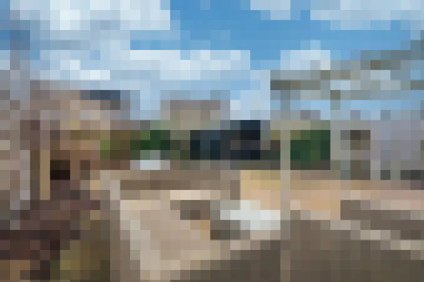 Dassenwissel 16 Winschoten thumbnail 51