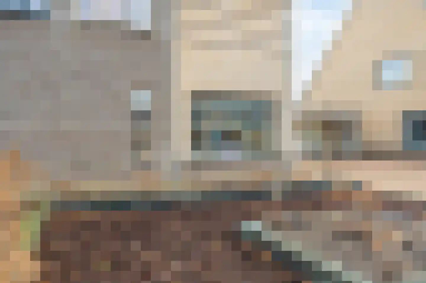 Dassenwissel 16 Winschoten thumbnail 55