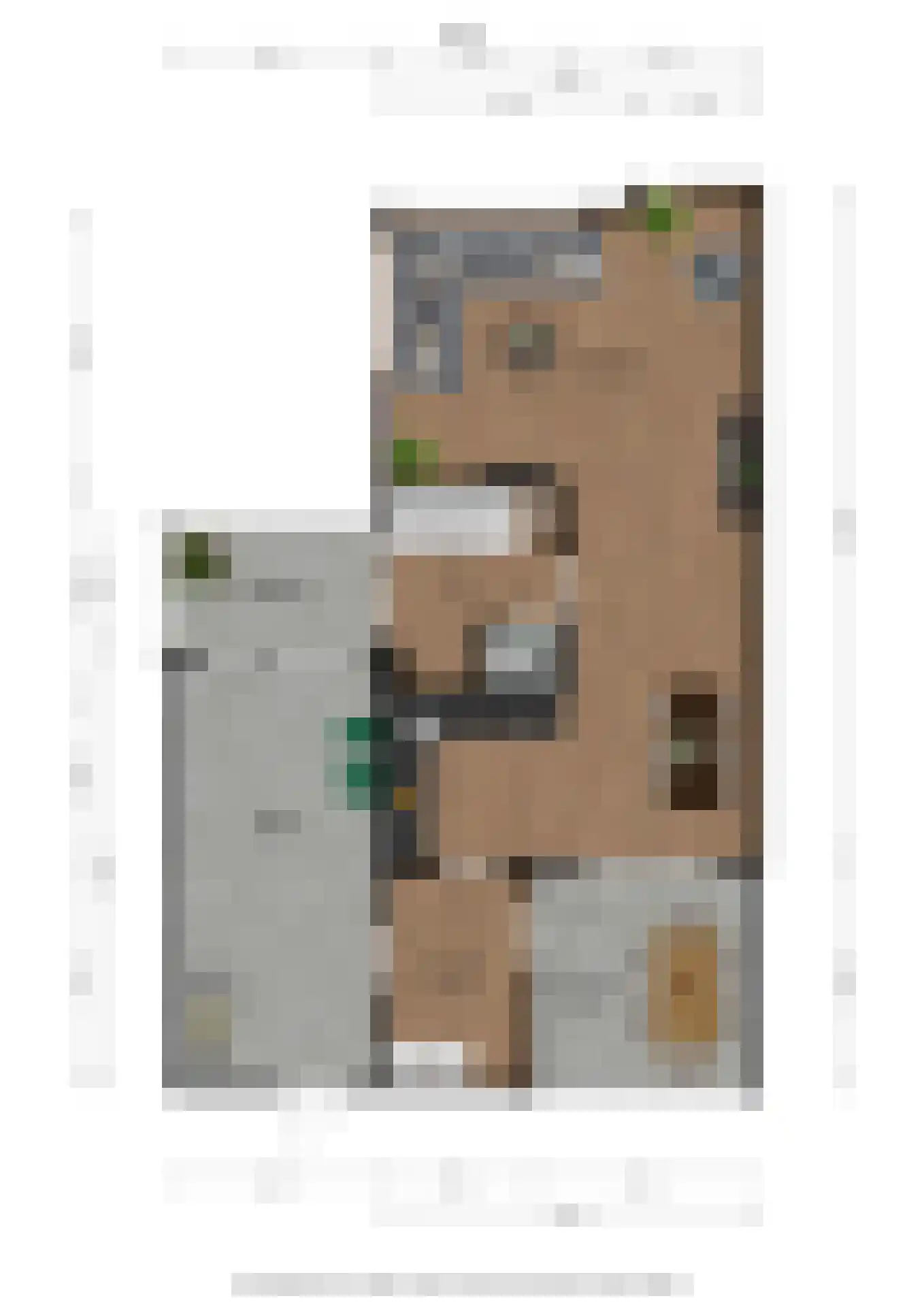 Dassenwissel 16 Winschoten thumbnail 60