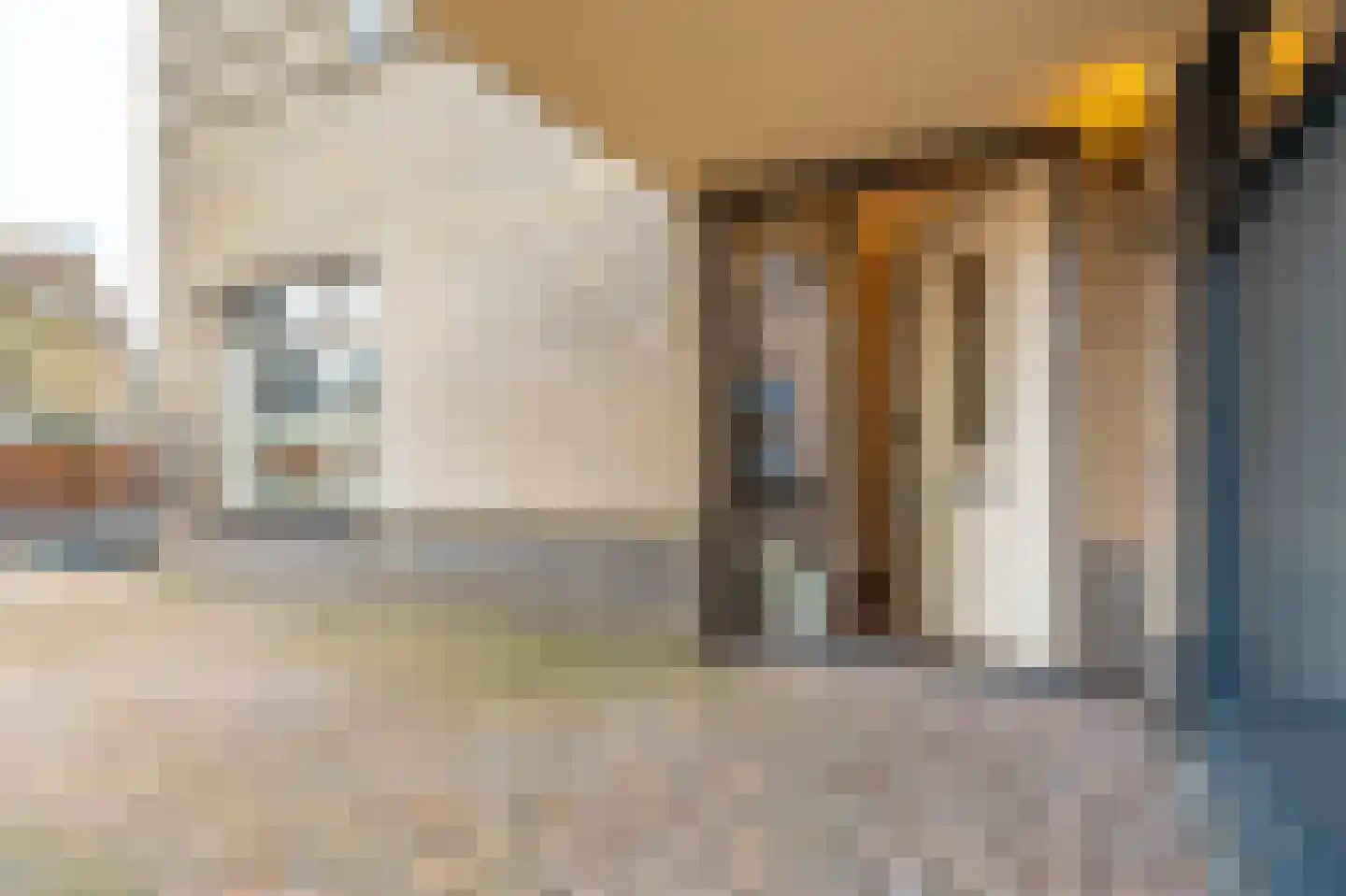 Dassenwissel 16 Winschoten thumbnail 7