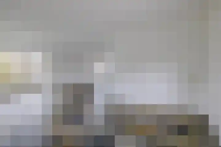 Dassenwissel 33 Winschoten thumbnail 10
