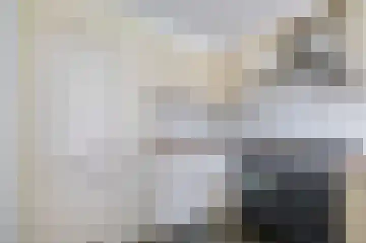 Dassenwissel 33 Winschoten thumbnail 14
