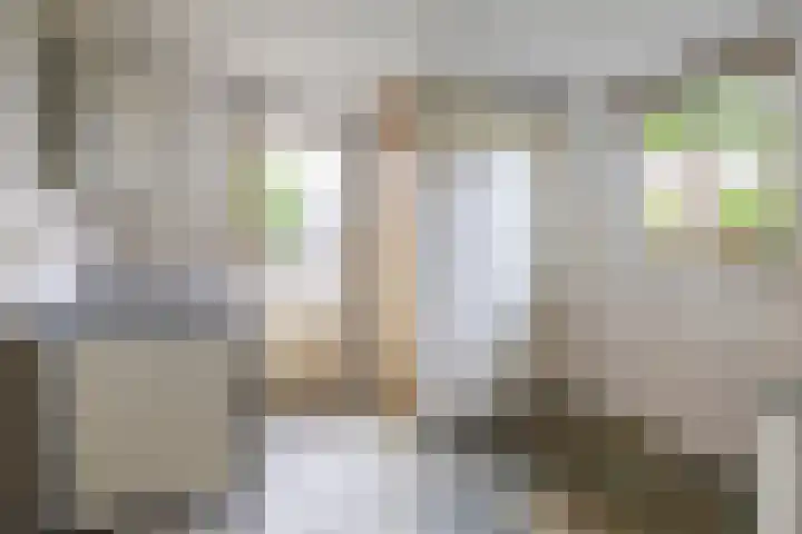 Dassenwissel 33 Winschoten thumbnail 16