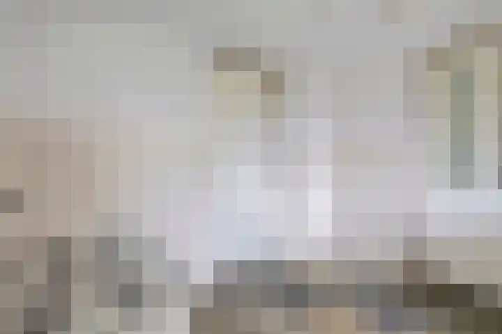 Dassenwissel 33 Winschoten thumbnail 17